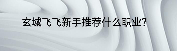 玄域飞飞新手推荐什么职业？