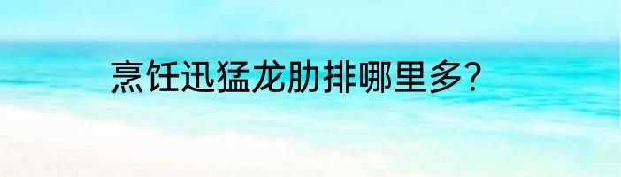 烹饪迅猛龙肋排哪里多？