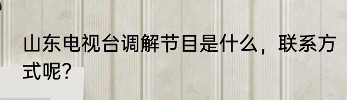 山东电视台调解节目是什么，联系方式呢？