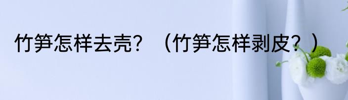 竹笋怎样去壳？（竹笋怎样剥皮？）
