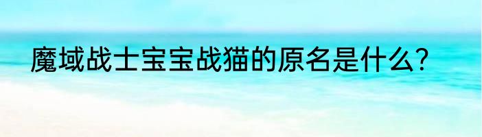 魔域战士宝宝战猫的原名是什么？
