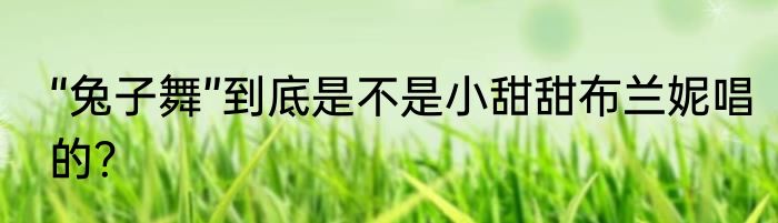 “兔子舞”到底是不是小甜甜布兰妮唱的？
