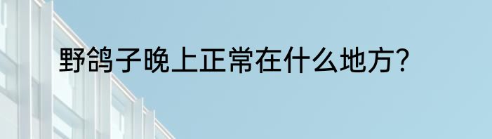 野鸽子晚上正常在什么地方？