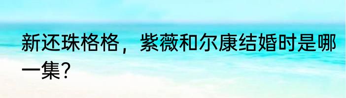 新还珠格格，紫薇和尔康结婚时是哪一集？