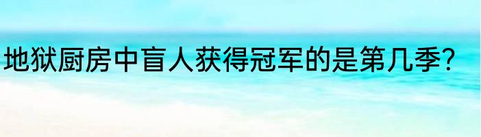 地狱厨房中盲人获得冠军的是第几季？