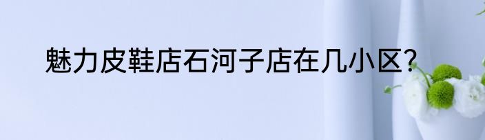 魅力皮鞋店石河子店在几小区？