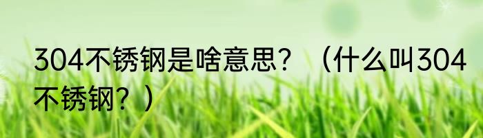 304不锈钢是啥意思？（什么叫304不锈钢？）