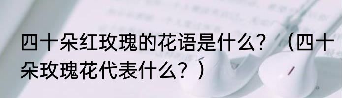 红颜乱主角是谁？