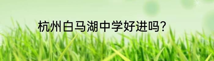 杭州白马湖中学好进吗？