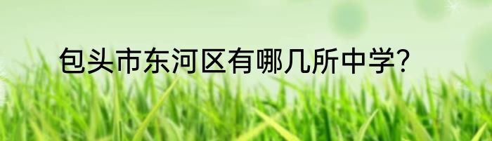 包头市东河区有哪几所中学？