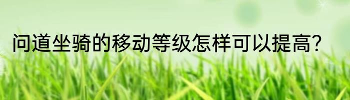 问道坐骑的移动等级怎样可以提高？