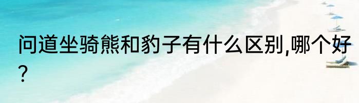 问道坐骑熊和豹子有什么区别,哪个好？