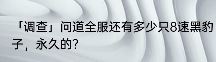 「调查」问道全服还有多少只8速黑豹子，永久的？
