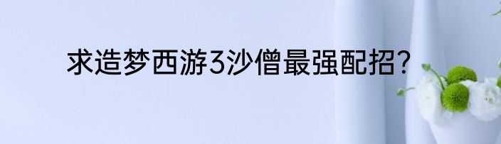 求造梦西游3沙僧最强配招？