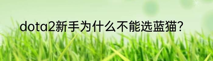 dota2新手为什么不能选蓝猫？