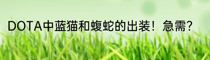 DOTA中蓝猫和蝮蛇的出装！急需？