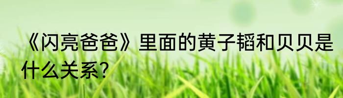 《闪亮爸爸》里面的黄子韬和贝贝是什么关系？