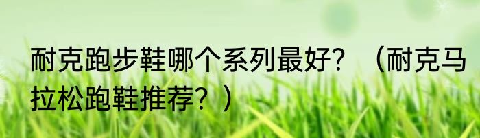 耐克跑步鞋哪个系列最好？（耐克马拉松跑鞋推荐？）