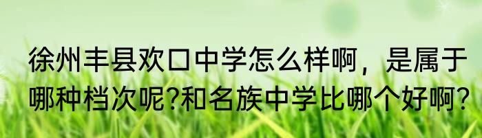 徐州丰县欢口中学怎么样啊，是属于哪种档次呢?和名族中学比哪个好啊？