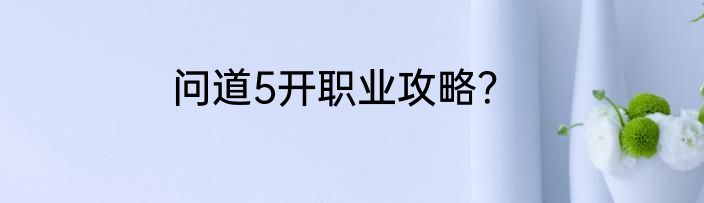 问道5开职业攻略？