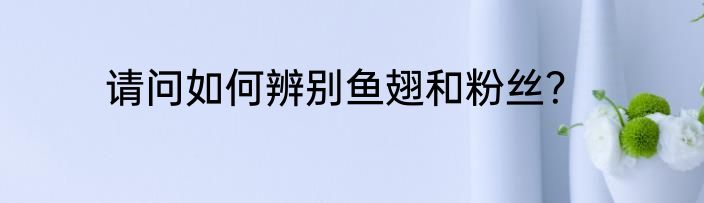 请问如何辨别鱼翅和粉丝？