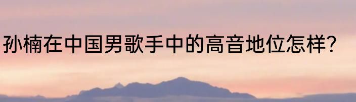孙楠在中国男歌手中的高音地位怎样？