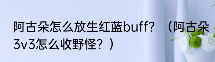 阿古朵怎么放生红蓝buff？（阿古朵3v3怎么收野怪？）