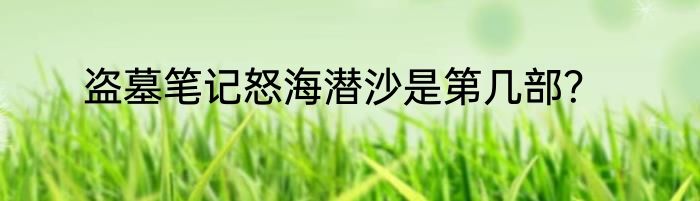 盗墓笔记怒海潜沙是第几部？