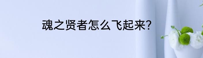 魂之贤者怎么飞起来？