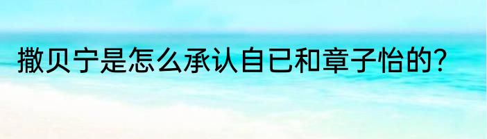 撒贝宁是怎么承认自已和章子怡的？