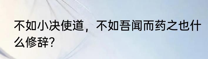 不如小决使道，不如吾闻而药之也什么修辞？