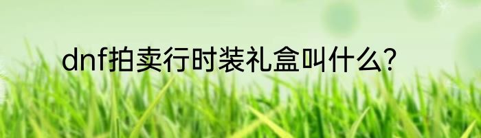 dnf拍卖行时装礼盒叫什么？