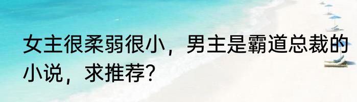 女主很柔弱很小，男主是霸道总裁的小说，求推荐？