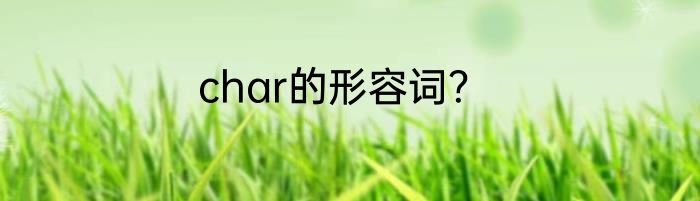 char的形容词？