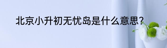 北京小升初无忧岛是什么意思？