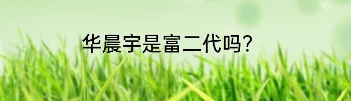 华晨宇是富二代吗？