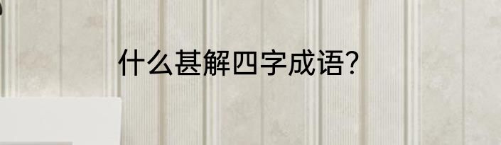 什么甚解四字成语？