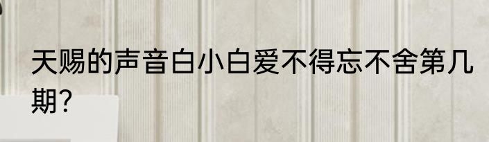天赐的声音白小白爱不得忘不舍第几期？