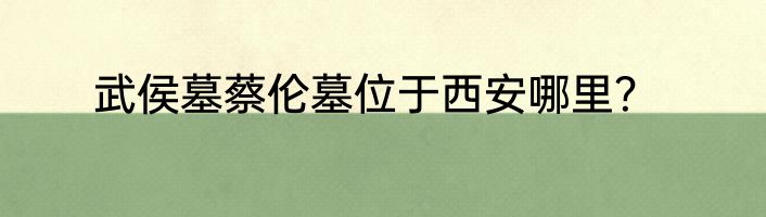 武侯墓蔡伦墓位于西安哪里？