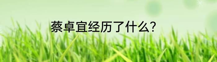 蔡卓宜经历了什么？