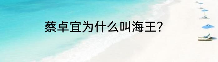蔡卓宜为什么叫海王？