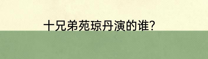 十兄弟苑琼丹演的谁？