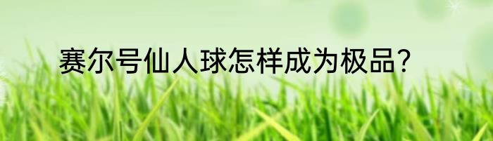 赛尔号仙人球怎样成为极品？