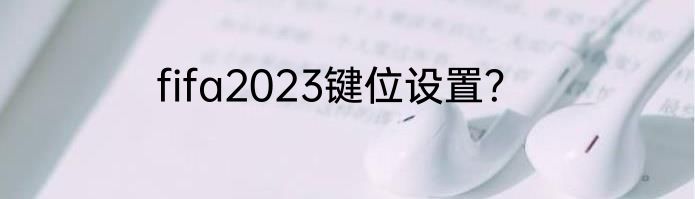 fifa2023键位设置？