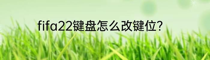 fifa22键盘怎么改键位？