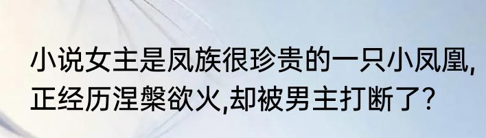 小说女主是凤族很珍贵的一只小凤凰,正经历涅槃欲火,却被男主打断了？