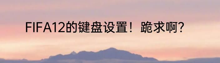 FIFA12的键盘设置！跪求啊？