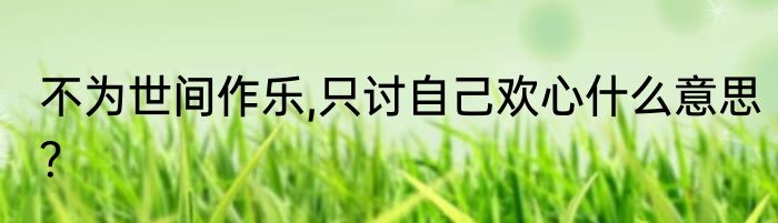 不为世间作乐,只讨自己欢心什么意思？