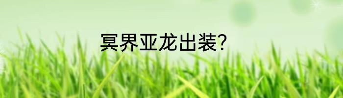 冥界亚龙出装？