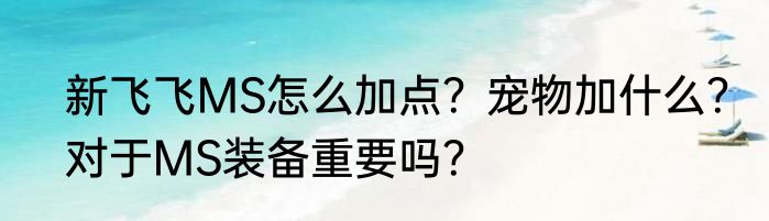 新飞飞MS怎么加点？宠物加什么？对于MS装备重要吗？
